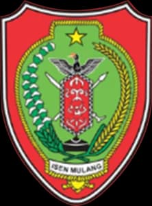 Pemerintah Daerah